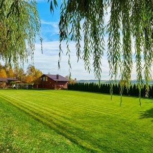 Домик на двоих в усадьбе «У Антила»