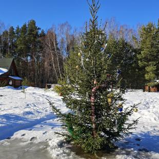 Зима в Hygge Lakes & Forest Club