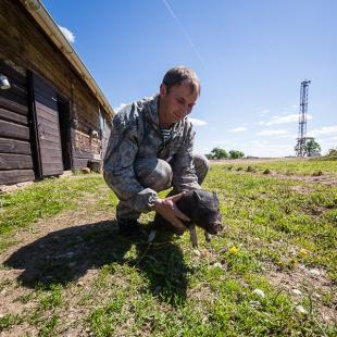 Коттедж «Датский» в аренду на Браславах. Снять дом на новогодние каникулы