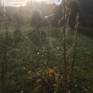 Территория усадьбы "Медвежий угол"