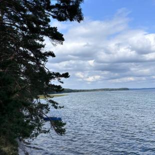 Санаторий Журавушка