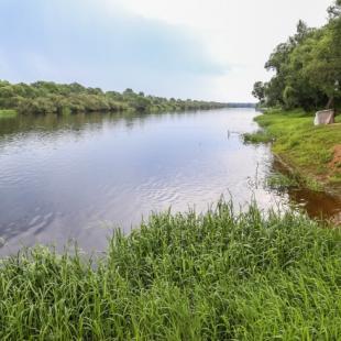 Результативная рыбалка на реке Березина в Могилевской области. Усадьба «Красное» в Белоруссии
