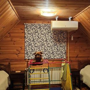 Интерьер «Изумрудного дома»