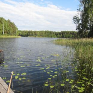 Усадьба «Медвежий угол» в Витебской области. Где можно порыбачить зимой