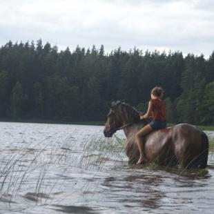 Туристический этнокультурный маршрут "Велесов путь"