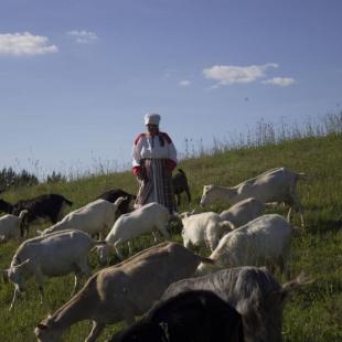Туристический этнокультурный маршрут "Велесов путь"
