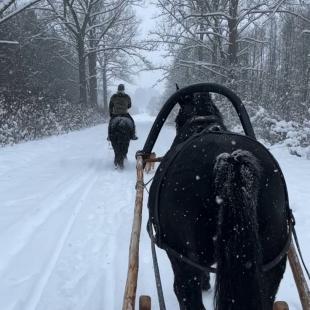 База отдыха Березовый двор