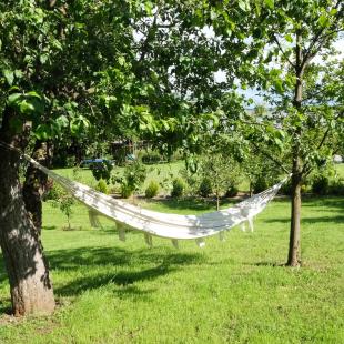 Усадьба Дольче Вита в Витебской области