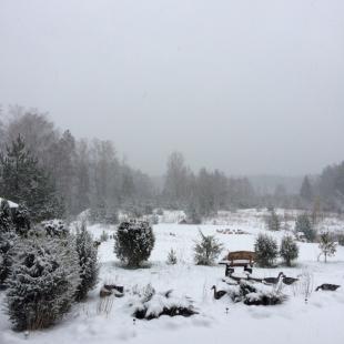 Усадьба «Медвежий угол» в Витебской области.Усадьбы Белоруссии