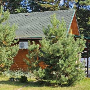 Коттедж "Scandy"