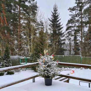 Новый год в усадьбе 