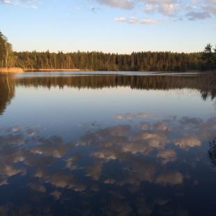 Усадьба «Медвежий угол» в Витебской области. Новый год в Белоруссии