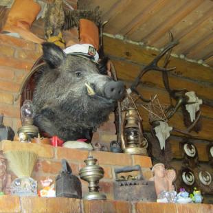 Усадьба «Медвежий угол» в Витебской области. Снять усадьбу на выходные