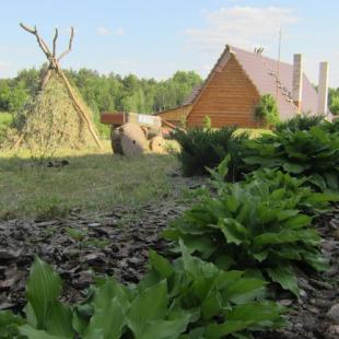Усадьба «Медвежий угол» в Витебской области. Куда поехать на выходные