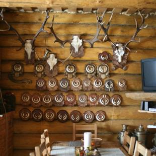 Усадьба «Медвежий угол» в Витебской области. Аренда усадьбы, коттеджа, загородного дома