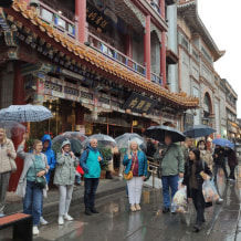 Турфирма Турагентство Алые паруса, фото 11