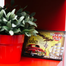 Турфирма AnyWay Travel, фото 15