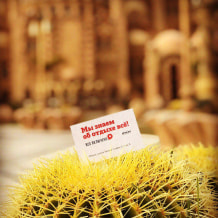 Турфирма Все Включено, фото 14