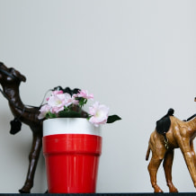 Турфирма AnyWay Travel, фото 21