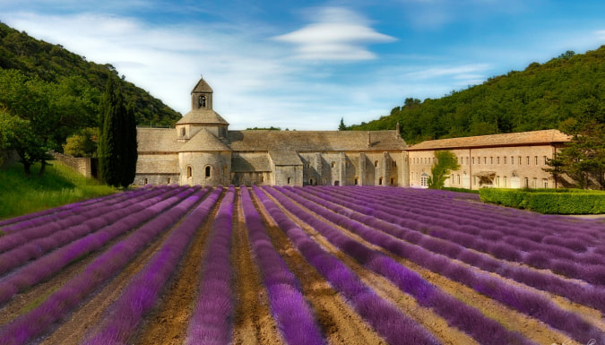 Lavender Field, Abbey of Senanque, Near Gordes, Provence, France загрузить