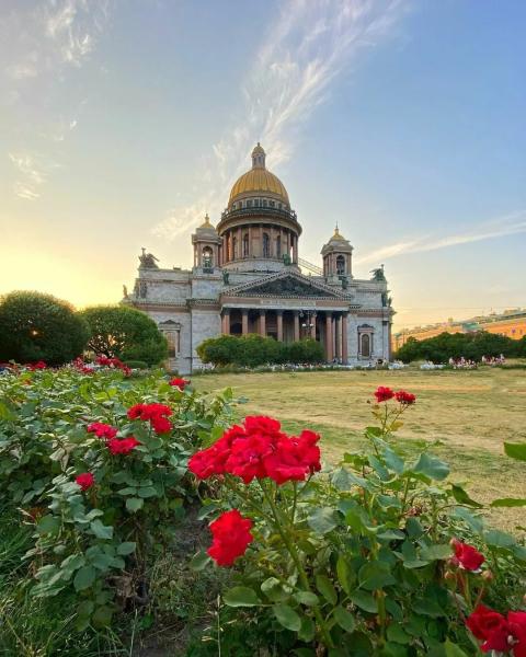 Питер карелия на машине