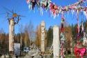 Тур ЖД тур на выходные: Место силы Карелии – Долина водопадов -  Фото 25