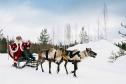 Тур Рождество и Новый год в сказочной Карелии -  Фото 1