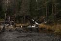 Тур Вся Карелия -  Фото 22