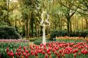 Тур Желание дам — Париж и Амстердам + парк цветов Кёкенхоф -  Фото 3