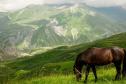 Тур Групповой Авиа тур в Дагестан по самым топовым локациям -  Фото 12