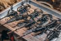 Тур В погоне за чудесами: встреча с пандами, летающие скалы Аватара и шаг в бездну -  Фото 3