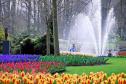 Тур Берлин-Амстердам (2 дня!)-парк цветов Кекенхоф -Гаага*-Заансе Сханс и Волендам*-Брауншвейг -  Фото 3