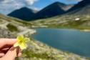 Тур Отпуск за Полярным Кругом -  Фото 8