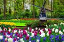 Тур Берлин-Амстердам (2 дня!)-парк цветов Кекенхоф -Гаага*-Заансе Сханс и Волендам*-Брауншвейг -  Фото 8