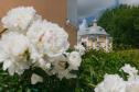 Тур Круиз «Люблю тебя, Москва» на теплоходе «Константин Симонов» -  Фото 8