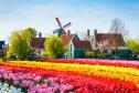 Тур Цветочная неделька: Амстердам + Париж -  Фото 1