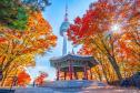 Тур Королевская осень в Южной Корее -  Фото 1