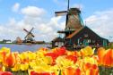 Тур Весна. Тюльпаны. Амстердам. Для  туристов с визой -  Фото 5