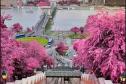 Тур Релакс-тур: Венгрия- Словакия.  Визовая поддержка Венгрия -  Фото 5