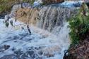 Тур Тур на болото «Ельня» + водопад на реке Вята -  Фото 4