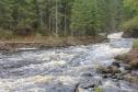 Тур ЖД тур на выходные: Место силы Карелии – Долина водопадов -  Фото 2