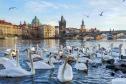 Тур Европейские выходные: Прага – Кутна-Гора и замок Штернберг* – Дрезден*. Для туристов с визой -  Фото 3