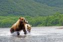 Тур Неизведанная Камчатка. Тур, в котором каждый день- новое открытие! -  Фото 1
