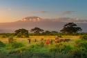 Тур Захватывающая экскурсия в Кении -  Фото 4