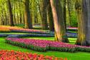 Тур Весна в Голландии и парк Кекенхоф -  Фото 8