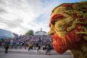 Тур Парад георгин Corso Zundert. Авторский тур (визовая поддержка) -  Фото 4