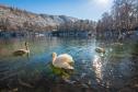 Тур В краю легенд и горных водопадов: Северная Осетия - Алания -  Фото 1