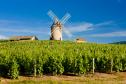 Тур Божоле Нуво. Винно-гастрономический тур на праздник вина во Франции -  Фото 3