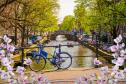 Тур Берлин-Амстердам-парк Кекенхоф-Гаага -  Фото 10