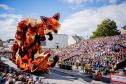 Тур Парад георгин Corso Zundert. Авторский тур (визовая поддержка) -  Фото 5